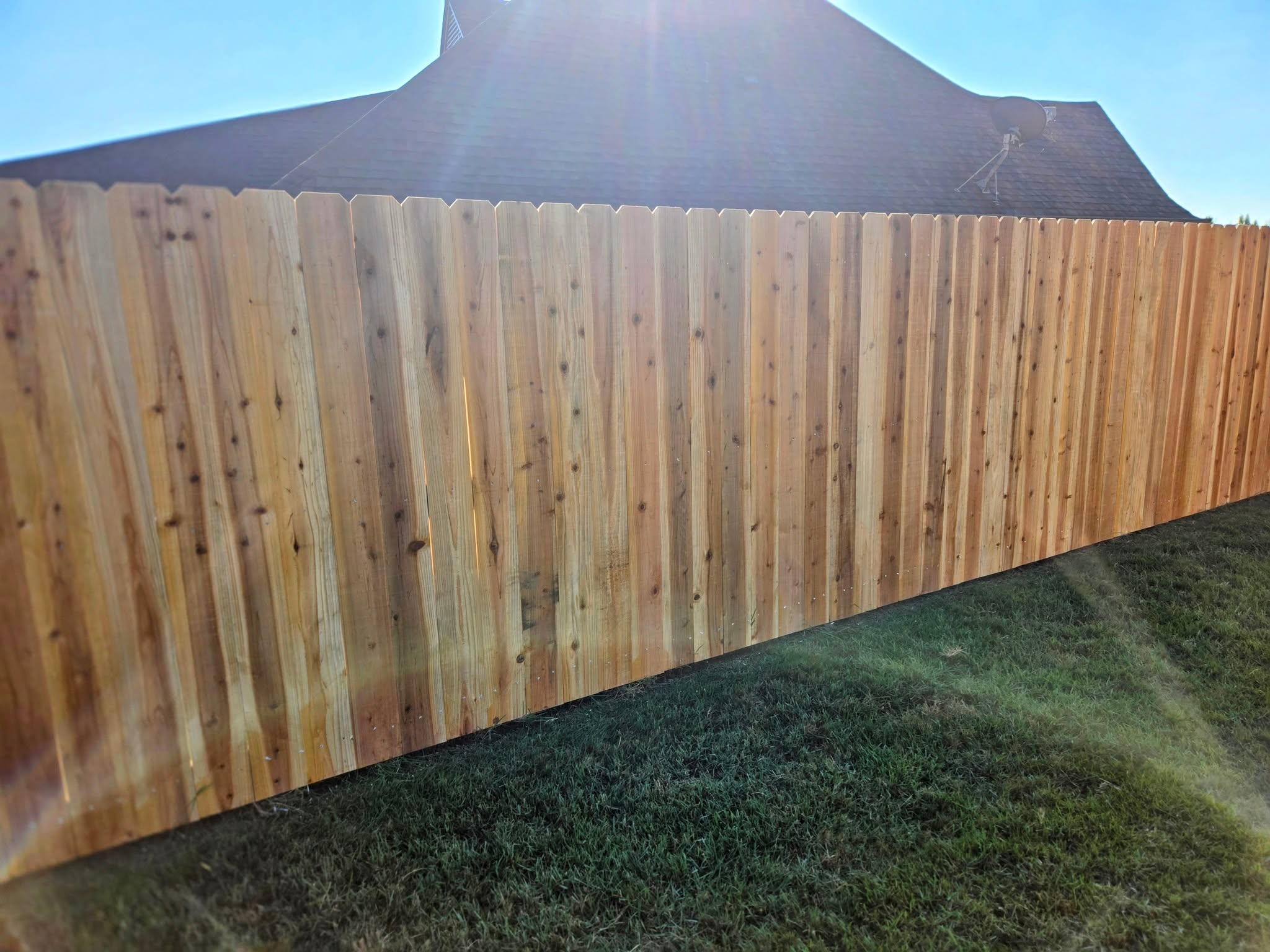 Fresh cedar dog-ear privacy fence in a residential backyard